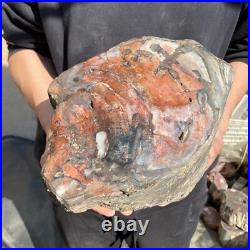 26.8lb Rare Natural petrified wood rough Wood fossil mineral specimen healing