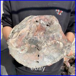 26.8lb Rare Natural petrified wood rough Wood fossil mineral specimen healing