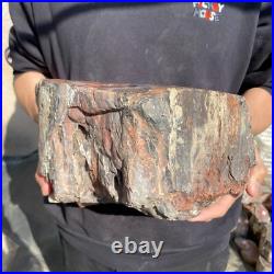 26.8lb Rare Natural petrified wood rough Wood fossil mineral specimen healing