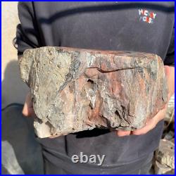 26.8lb Rare Natural petrified wood rough Wood fossil mineral specimen healing