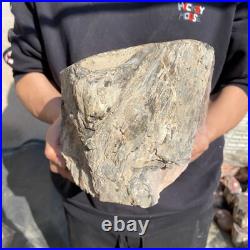 26.8lb Rare Natural petrified wood rough Wood fossil mineral specimen healing