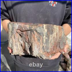 26.8lb Rare Natural petrified wood rough Wood fossil mineral specimen healing
