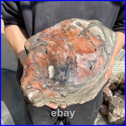 26.8lb Rare Natural petrified wood rough Wood fossil mineral specimen healing