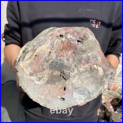 26.8lb Rare Natural petrified wood rough Wood fossil mineral specimen healing