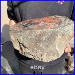 26.8lb Rare Natural petrified wood rough Wood fossil mineral specimen healing