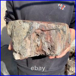 26.8lb Rare Natural petrified wood rough Wood fossil mineral specimen healing