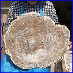 26.9LB Natural Petrified Wood Fossil Crystal Polished Slice Madagascar