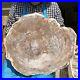 26_9LB_Natural_Petrified_Wood_Fossil_Crystal_Polished_Slices_Healing_HH2_01_mwp