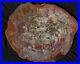 26_Gem_Quality_Fossil_Petrified_Wood_Round_Table_Arizona_Chinle_Red_Pink_01_ir