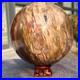 2715g_Natural_Petrified_Wood_Fossil_Quartz_Crystal_Sphere_Mineral_Specimen_01_lp