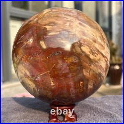 2715g Natural Petrified Wood Fossil Quartz Crystal Sphere Mineral Specimen 2715g Natural Petrified Wood Fossil Quartz Crystal Sphere Mineral Specimen