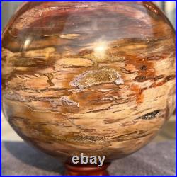 2715g Natural Petrified Wood Fossil Quartz Crystal Sphere Mineral Specimen 2715g Natural Petrified Wood Fossil Quartz Crystal Sphere Mineral Specimen
