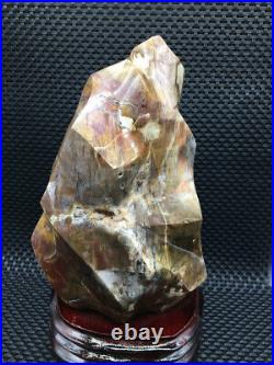 2759g Beautiful Petrified Wood Fossil Crystal furnishing articles+stand u272