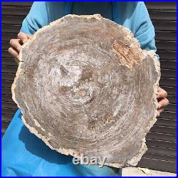 27.32LB Natural Petrified Wood Fossil Crystal Polished Slice Madagascar 44