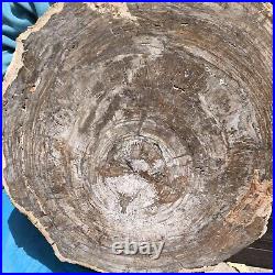 27.32LB Natural Petrified Wood Fossil Crystal Polished Slice Madagascar 44