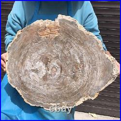 27.32LB Natural Petrified Wood Fossil Crystal Polished Slice Madagascar 44