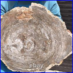 27.32LB Natural Petrified Wood Fossil Crystal Polished Slices Healing HH44