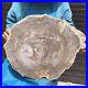 27_32LB_Natural_Petrified_Wood_Slice_Real_Authentic_Piece_History_Fossil_2609_01_dksf