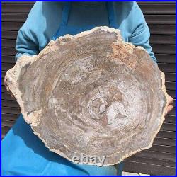 27.32LB Natural petrified wood fossil crystal polished slice Madagascar44