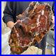 27_4lb_Rare_Natural_petrified_wood_rough_Wood_fossil_mineral_specimen_healing_01_ay