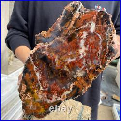 27.4lb Rare Natural petrified wood rough Wood fossil mineral specimen healing 27.4lb Rare Natural petrified wood rough Wood fossil mineral specimen healing