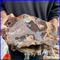 27.4lb Rare Natural petrified wood rough Wood fossil mineral specimen healing 27.4lb Rare Natural petrified wood rough Wood fossil mineral specimen healing
