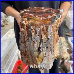 27.4lb Rare Natural petrified wood rough Wood fossil mineral specimen healing 27.4lb Rare Natural petrified wood rough Wood fossil mineral specimen healing