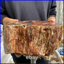27.4lb Rare Natural petrified wood rough Wood fossil mineral specimen healing 27.4lb Rare Natural petrified wood rough Wood fossil mineral specimen healing