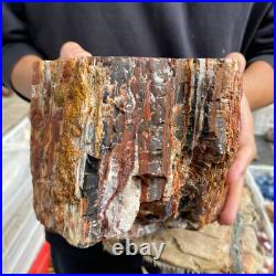 27.4lb Rare Natural petrified wood rough Wood fossil mineral specimen healing 27.4lb Rare Natural petrified wood rough Wood fossil mineral specimen healing