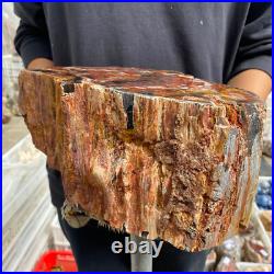 27.4lb Rare Natural petrified wood rough Wood fossil mineral specimen healing 27.4lb Rare Natural petrified wood rough Wood fossil mineral specimen healing