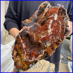 27.4lb Rare Natural petrified wood rough Wood fossil mineral specimen healing 27.4lb Rare Natural petrified wood rough Wood fossil mineral specimen healing
