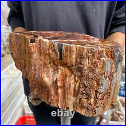 27.4lb Rare Natural petrified wood rough Wood fossil mineral specimen healing 27.4lb Rare Natural petrified wood rough Wood fossil mineral specimen healing