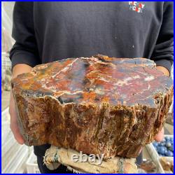 27.4lb Rare Natural petrified wood rough Wood fossil mineral specimen healing 27.4lb Rare Natural petrified wood rough Wood fossil mineral specimen healing