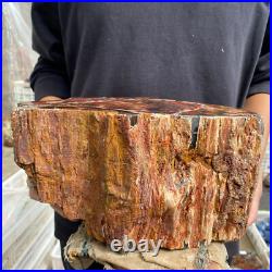 27.4lb Rare Natural petrified wood rough Wood fossil mineral specimen healing 27.4lb Rare Natural petrified wood rough Wood fossil mineral specimen healing