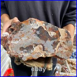 27.4lb Rare Natural petrified wood rough Wood fossil mineral specimen healing 27.4lb Rare Natural petrified wood rough Wood fossil mineral specimen healing