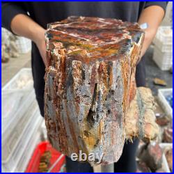 27.4lb Rare Natural petrified wood rough Wood fossil mineral specimen healing 27.4lb Rare Natural petrified wood rough Wood fossil mineral specimen healing