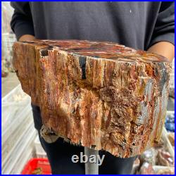 27.4lb Rare Natural petrified wood rough Wood fossil mineral specimen healing 27.4lb Rare Natural petrified wood rough Wood fossil mineral specimen healing