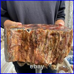 27.4lb Rare Natural petrified wood rough Wood fossil mineral specimen healing 27.4lb Rare Natural petrified wood rough Wood fossil mineral specimen healing