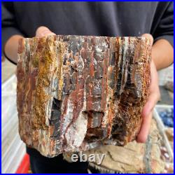 27.4lb Rare Natural petrified wood rough Wood fossil mineral specimen healing 27.4lb Rare Natural petrified wood rough Wood fossil mineral specimen healing