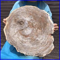 27.67LB Natural Petrified Wood Fossil Crystal Polished Slice Madagascar 35