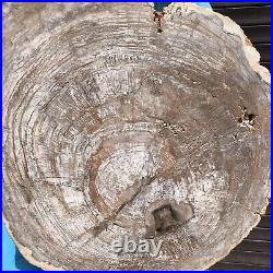 27.67LB Natural Petrified Wood Fossil Crystal Polished Slice Madagascar 35