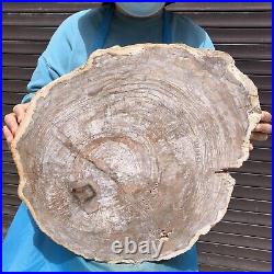 27.67LB Natural Petrified Wood Fossil Crystal Polished Slice Madagascar 35