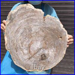 27.67LB Natural petrified wood fossil crystal polished slice Madagascar35