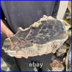 27.8lb Rare Natural petrified wood rough Wood fossil mineral specimen healing 27.8lb Rare Natural petrified wood rough Wood fossil mineral specimen healing