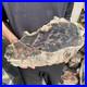 27_8lb_Rare_Natural_petrified_wood_rough_Wood_fossil_mineral_specimen_healing_01_wk