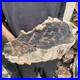 27_8lb_Rare_Natural_petrified_wood_rough_Wood_fossil_mineral_specimen_healing_01_zajy