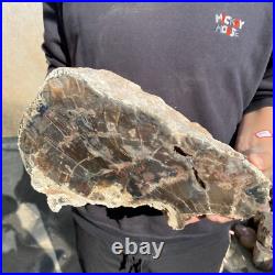 27.8lb Rare Natural petrified wood rough Wood fossil mineral specimen healing 27.8lb Rare Natural petrified wood rough Wood fossil mineral specimen healing
