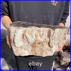 27.8lb Rare Natural petrified wood rough Wood fossil mineral specimen healing 27.8lb Rare Natural petrified wood rough Wood fossil mineral specimen healing
