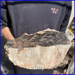 27.8lb Rare Natural petrified wood rough Wood fossil mineral specimen healing 27.8lb Rare Natural petrified wood rough Wood fossil mineral specimen healing