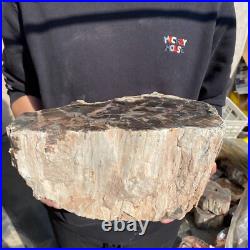 27.8lb Rare Natural petrified wood rough Wood fossil mineral specimen healing 27.8lb Rare Natural petrified wood rough Wood fossil mineral specimen healing